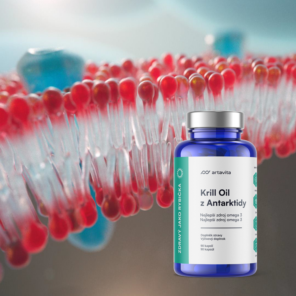 Grafické znázornění produktu Krill Oil se znázorněním fosfolipidové membrány